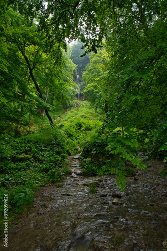View through the forest to the Urach waterfall