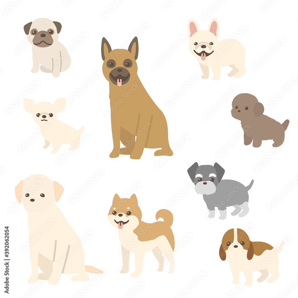 Obraz premium 色々な種類の犬のベクターイラストセット カメラ目線