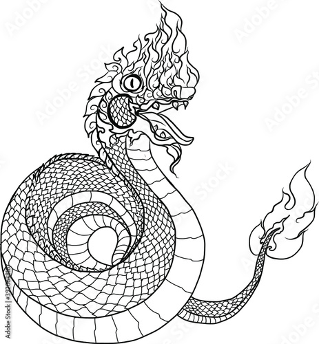 Traditional Line Thai style. Naka Thai Dragon vector and illustration isolate. Naga or Naka is Buddha's animal ,It's king of snake in South East Asia.