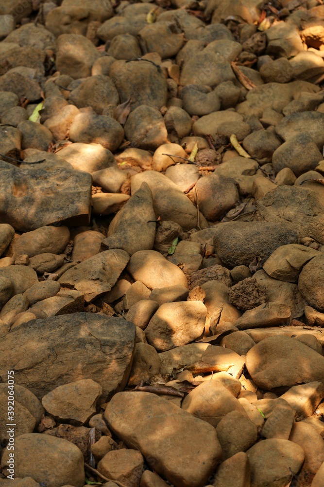 rocks on the beach