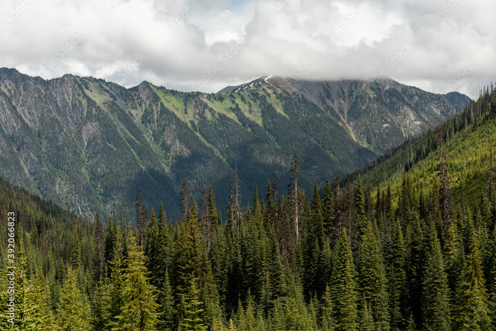 Mountain ridge covered by green forest under cloudy sky in summer Mountain ridge covered by green forest under cloudy sky in summer