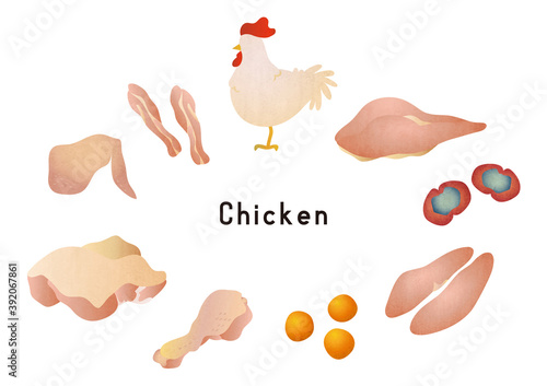鶏のお肉の部位のイラストセット