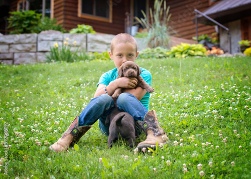 Young Boy With Lab Puppies Outdoors photo