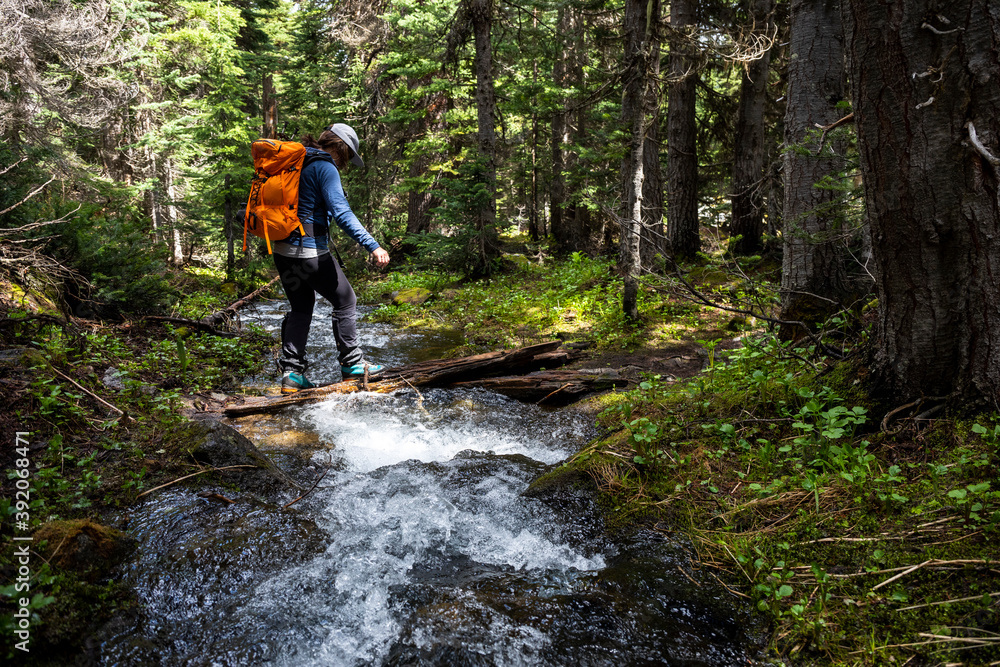 Side view of unrecognizable hiker with backpack crossing narrow fast stream flowing through green woods in mountainous region Side view of unrecognizable hiker with backpack crossing narrow fast stream flowing through green woods in mountainous region