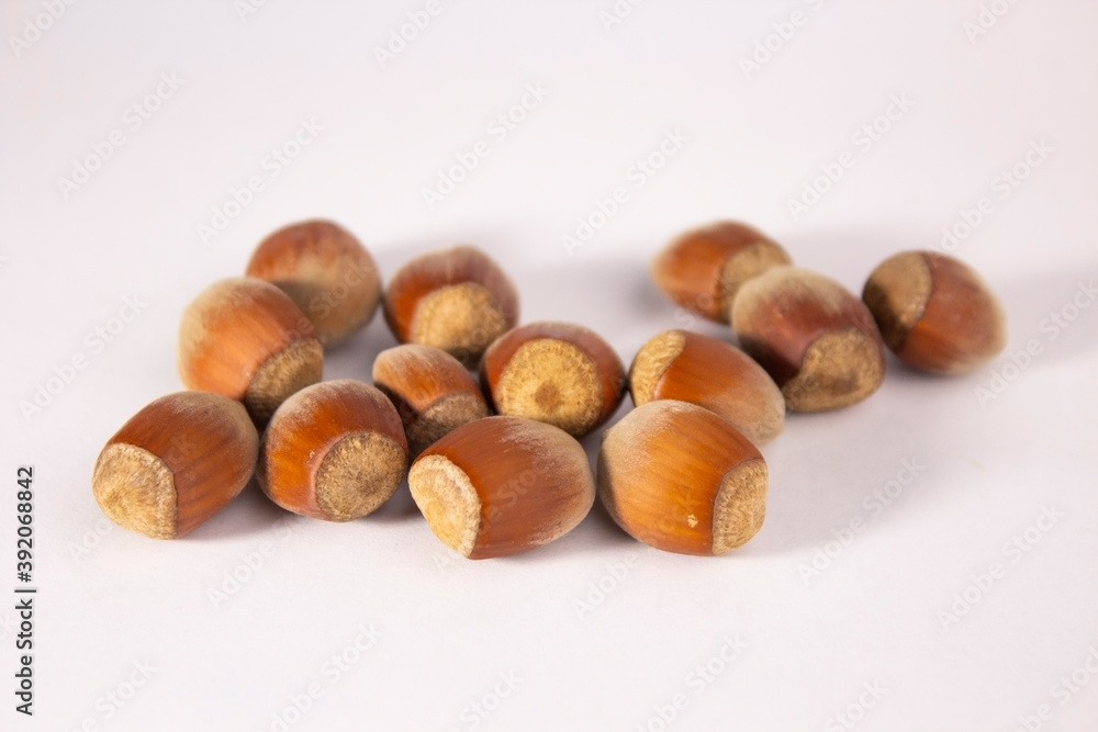 hazelnuts on the table on a white background hazelnuts on the table on a white background