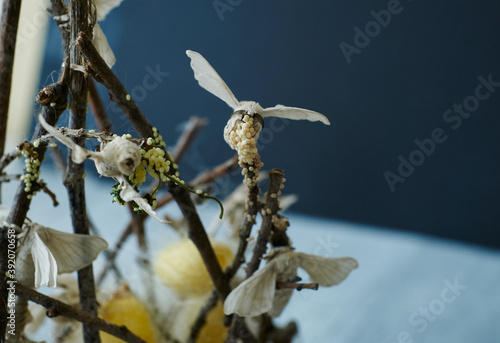 Close-up of silkworm butterflies laying eggs on the branches of a plant. nature concept