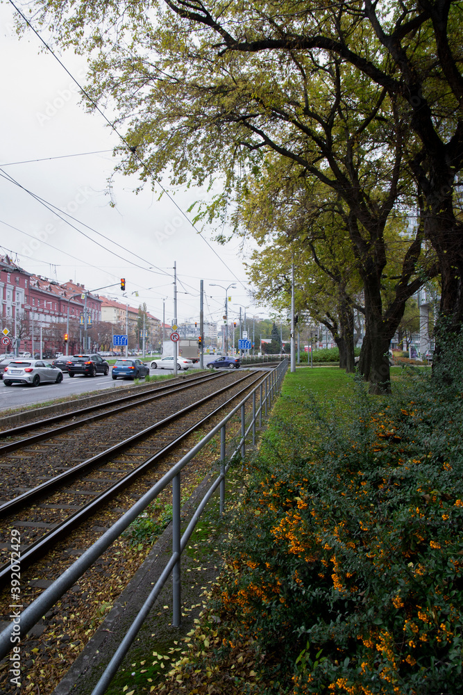 Fototapeta premium railway in the autumn