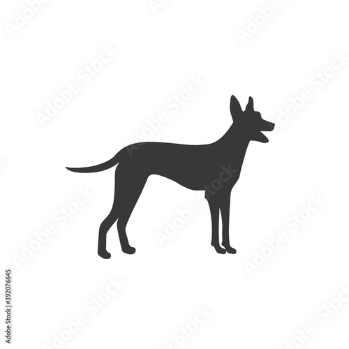 Dog icon in flat style. Vector modern flat style