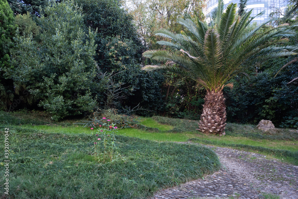 Obraz premium garden with flowers