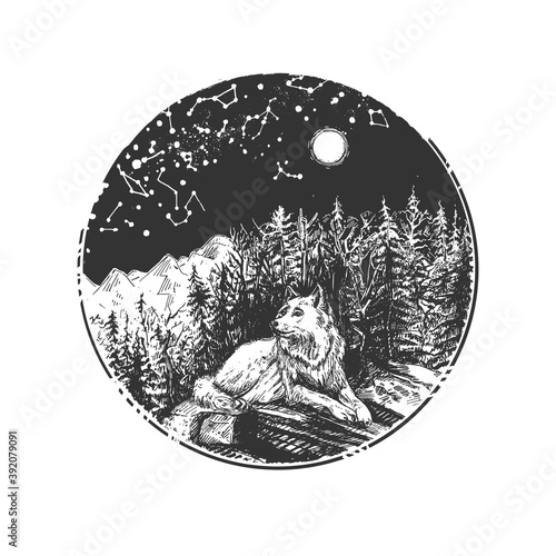 White wolf over natural scene sketch