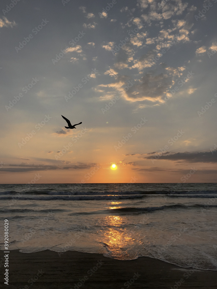 Beautiful sunrise on the beach, calm and quiet, with sun, clouds and flight seagull at the beginning of the day.
