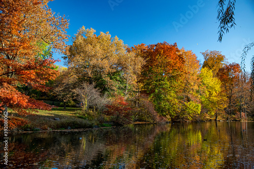 Colorful trees reflect off the Pool in Central Park, New York City