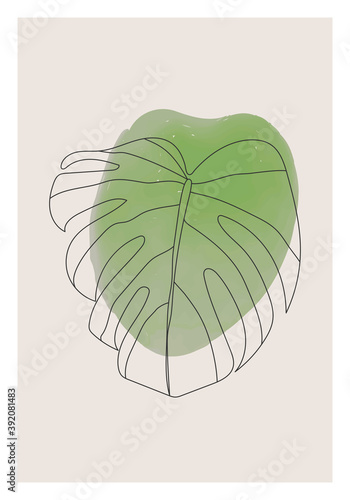 Minimalist botanical monstera leaf line art abstract collage