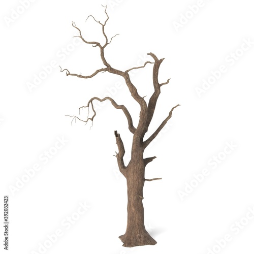 3D Illustration of a Spooky Tree