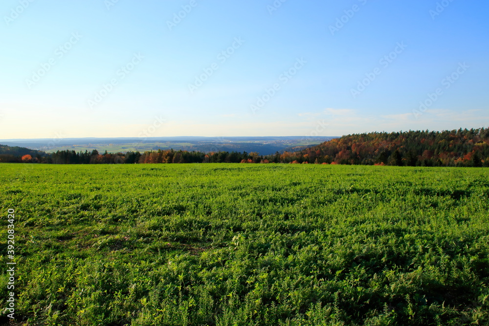 Blick in das herbstliche Heckengäu bei Holzbronn im Landkreis Calw