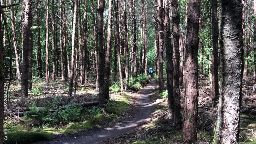 Mountain biking through the forest in Overijssel, The Netherlands