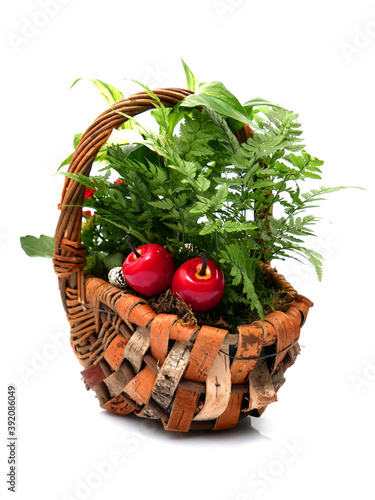 Autumn floristic composition with flowers, fruit and pine cones. Plants and decorations in a wicker rustic basket.