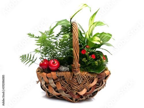 Autumn floristic composition with flowers  fruit and pine cones. Plants and decorations in a wicker rustic basket.