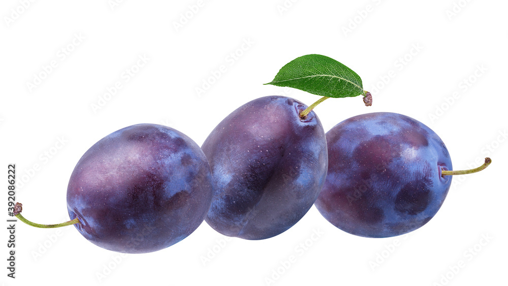 Plums isolated on white background with clipping path