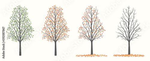 Tree with green red and yellow leaves in four versions