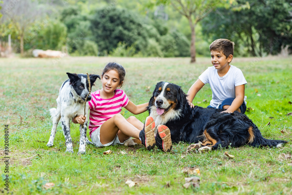 Two kids playing with dogs on a field Two kids playing with dogs on a field