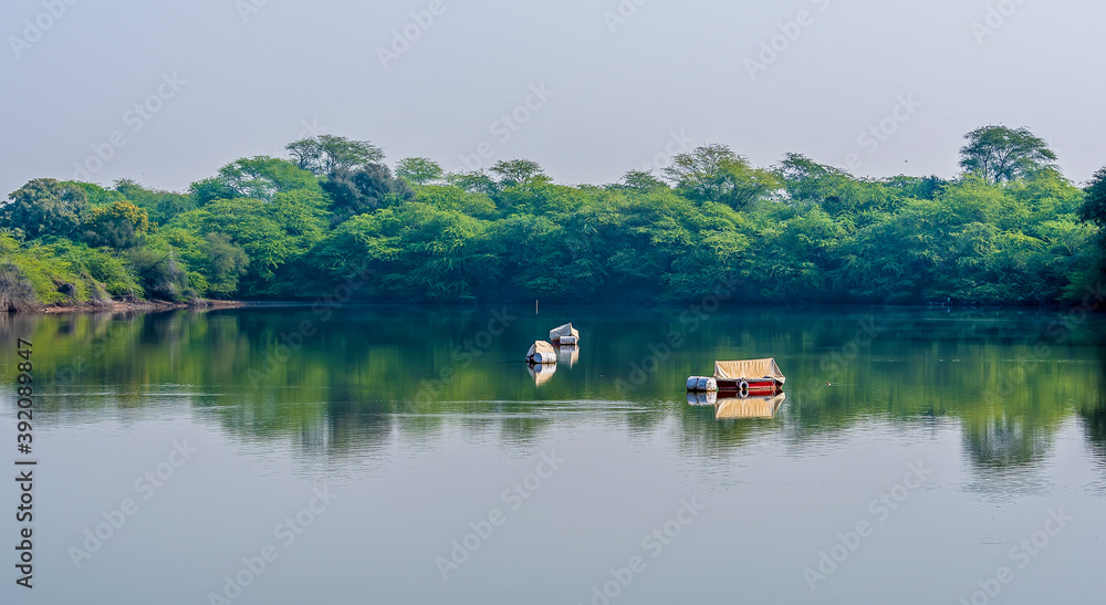 Fototapeta premium Boats moored peacefully on Gajner lake in Rajasthan, India