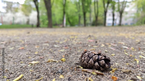cones on the ground