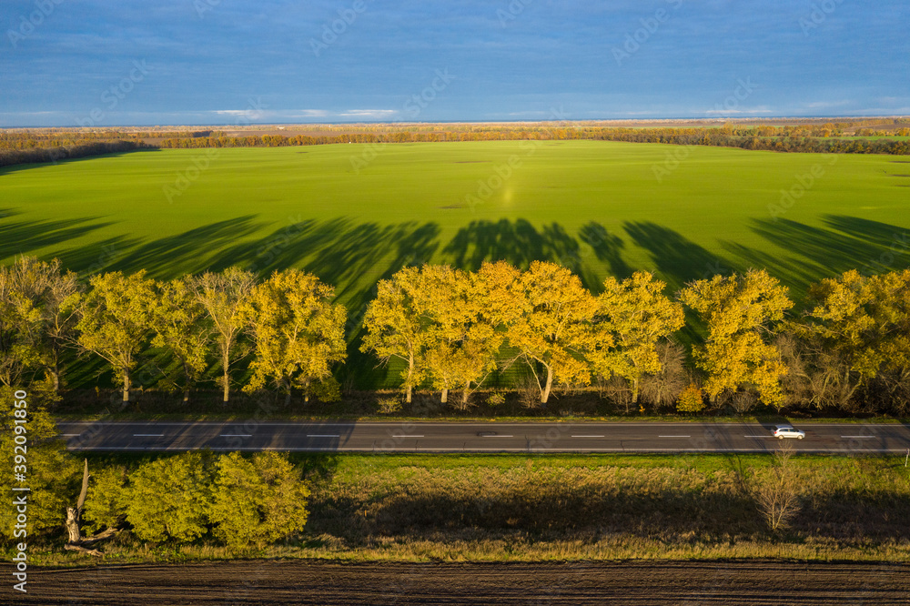 Fototapeta premium Autumn landscape with road and beautiful colored trees and shadows aerial view.