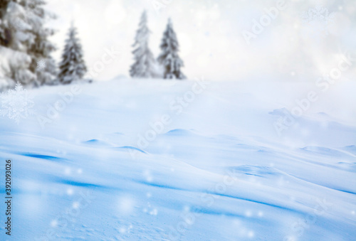 panorama of snowy fir trees christmas banner © Melinda Nagy