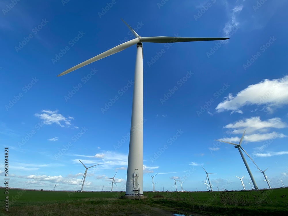 Wind turbines that produce electricity energy. Windmill Wind power technology productions Wind turbines standing on a blooming fields in green field. Wind turbines that produce electricity energy. Windmill Wind power technology productions Wind turbines standing on a blooming fields in green field.