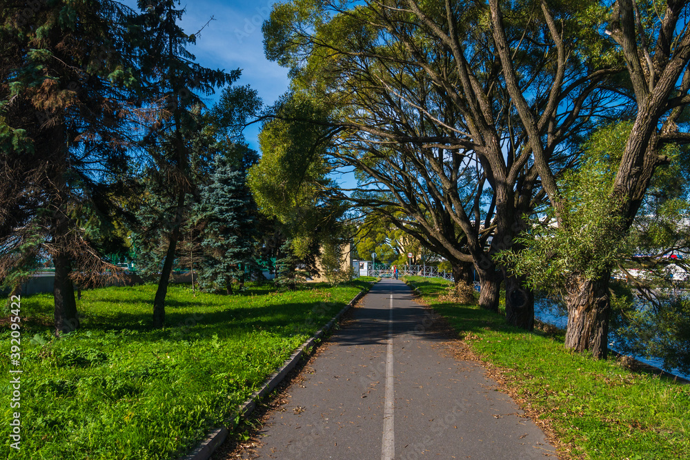 A bike path in a beautiful green summer park.