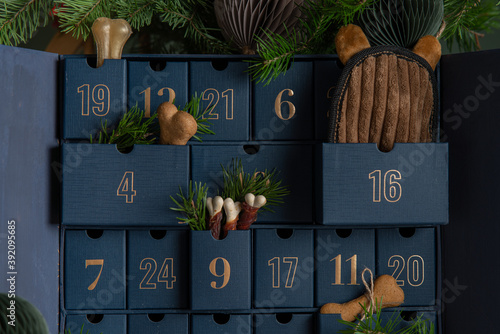 DIY funny advent calendar for dog. Eco toys and treats for furry friends. Pet care concept