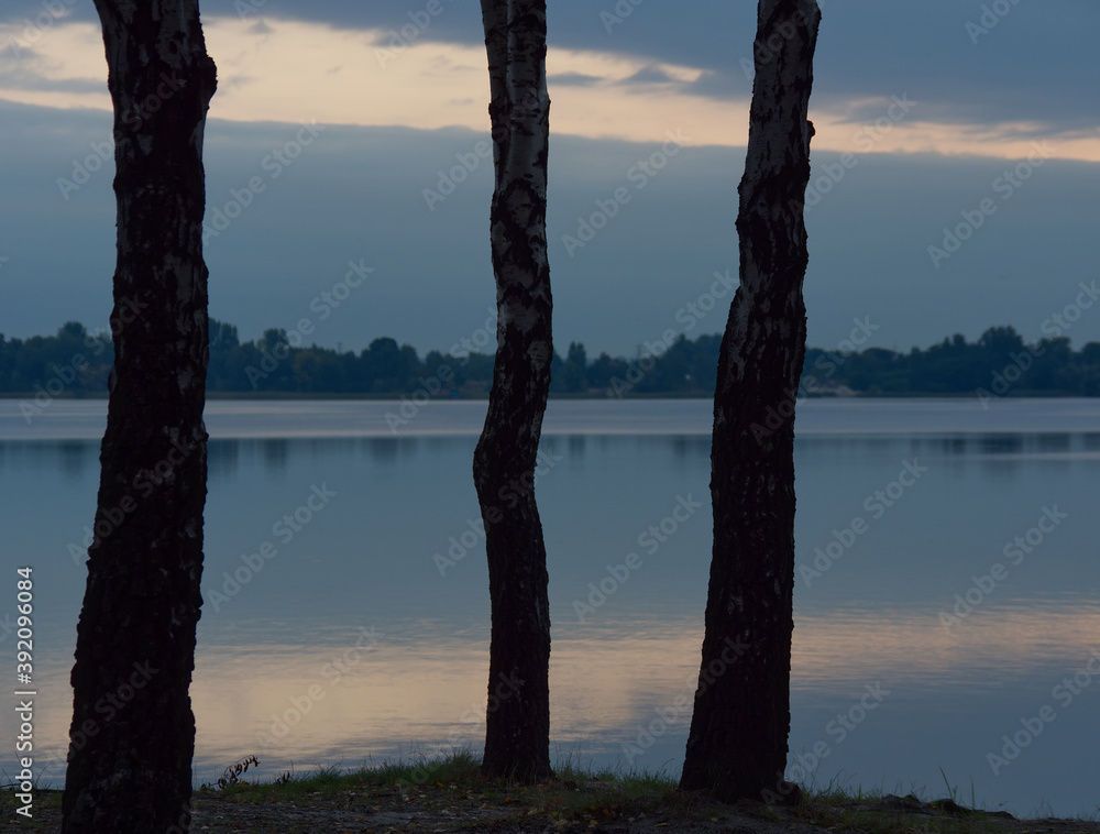 Three trees silhouettes in front of a morning calm lake with sky reflecting in water. Three trees silhouettes in front of a morning calm lake with sky reflecting in water.