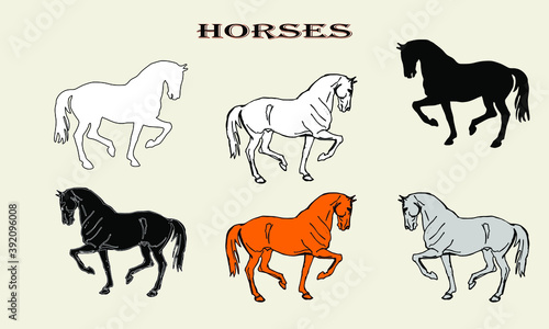 set of isolated drawings and silhouettes of a prancing horse, doodles