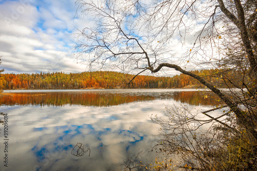 Autumn lake landscape, mirror reflection of trees