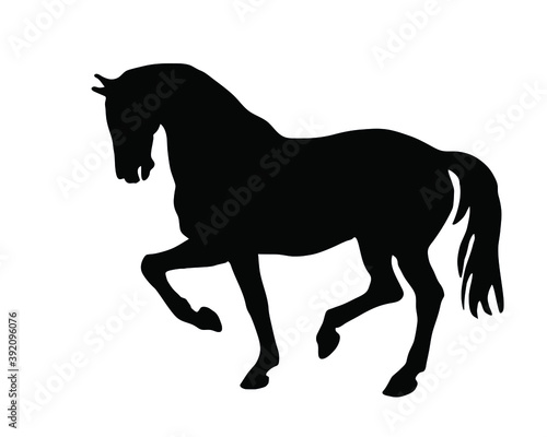  drawing isolated black silhouette of a prancing horse