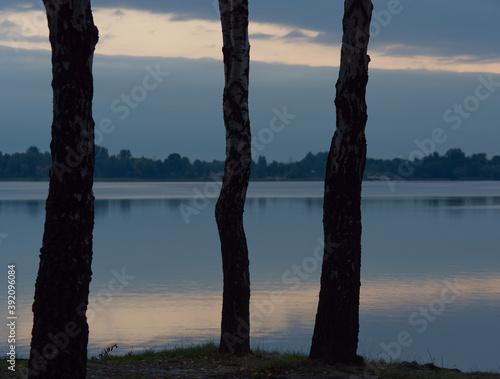 Three trees silhouettes in front of a morning calm lake with sky reflecting in water.