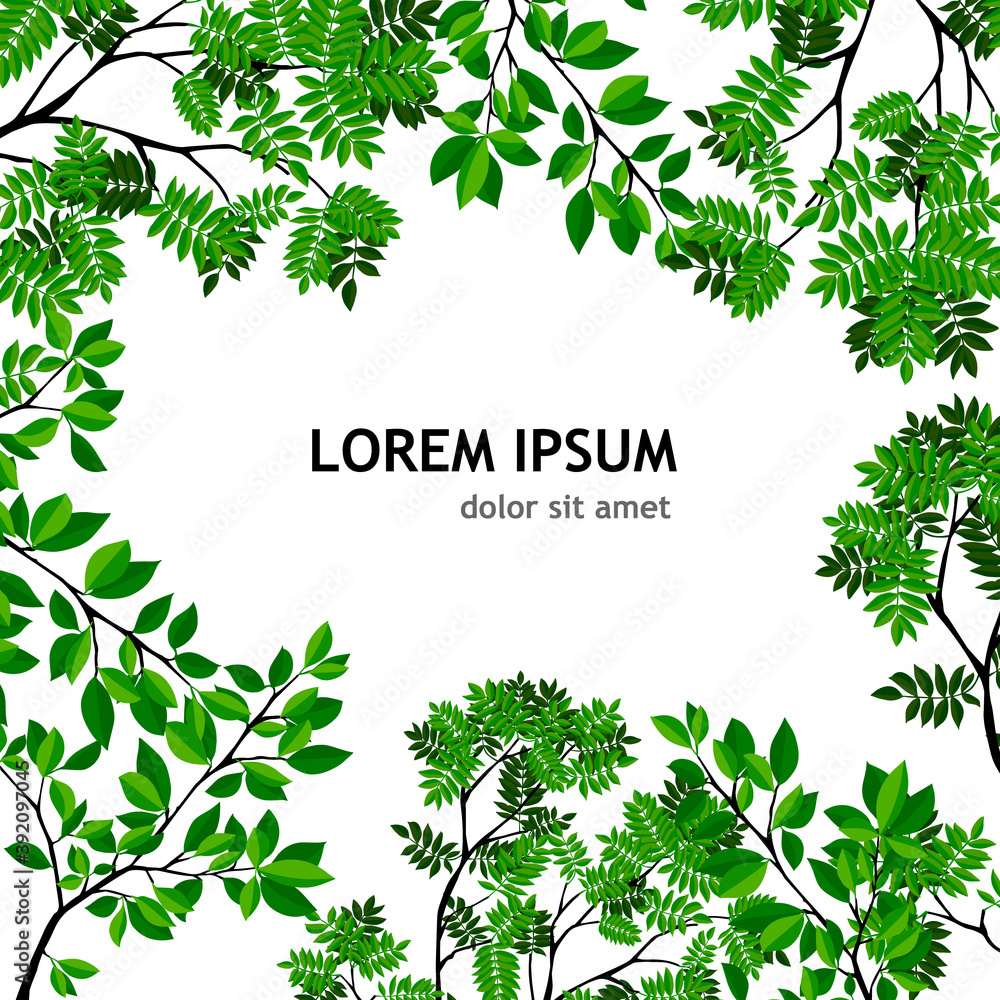 Background frame made of green leaves. Mixed media. Vector illustration Background frame made of green leaves. Mixed media. Vector illustration