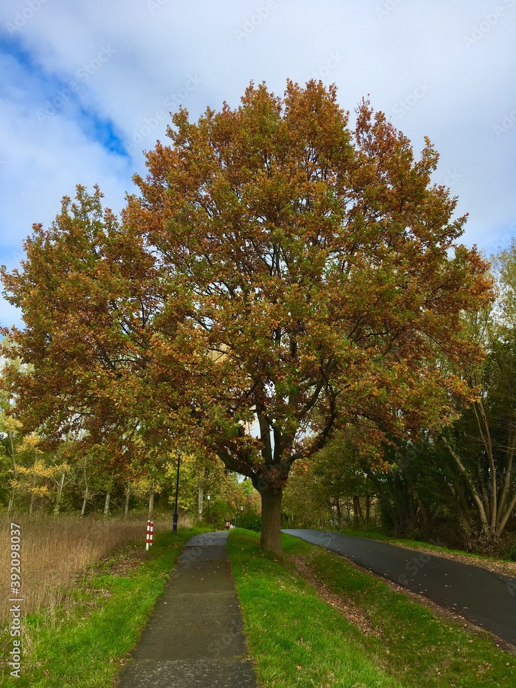 Naklejka premium herbstliche Stimmung