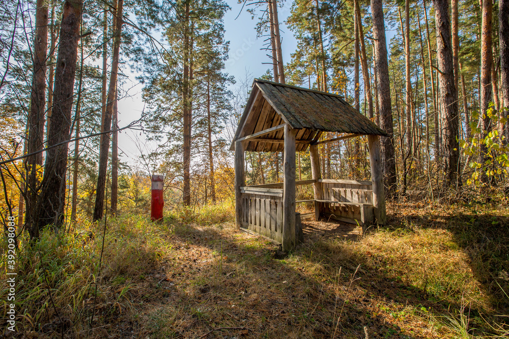 old wooden gazebo on the edge of a pine forest on a sunny autumn day old wooden gazebo on the edge of a pine forest on a sunny autumn day