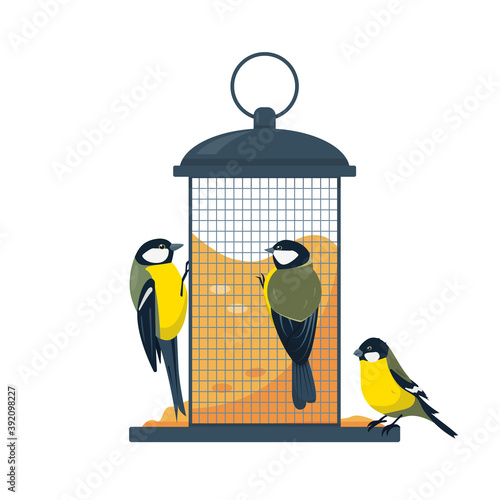 Bird feeder with eating tits birds