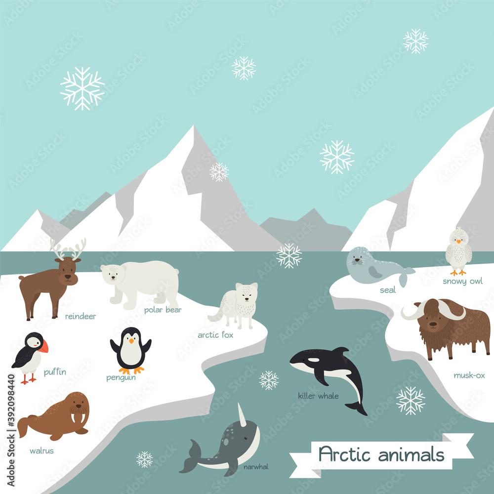 Cartoon cute arctic animals Stock Vector | Adobe Stock