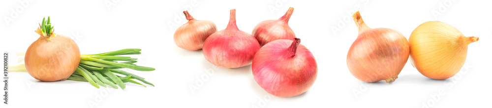 Collage of Onion isolated on a white background cutout