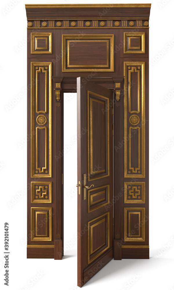 3D image classic door and panels in the interior of the room 3D image classic door and panels in the interior of the room