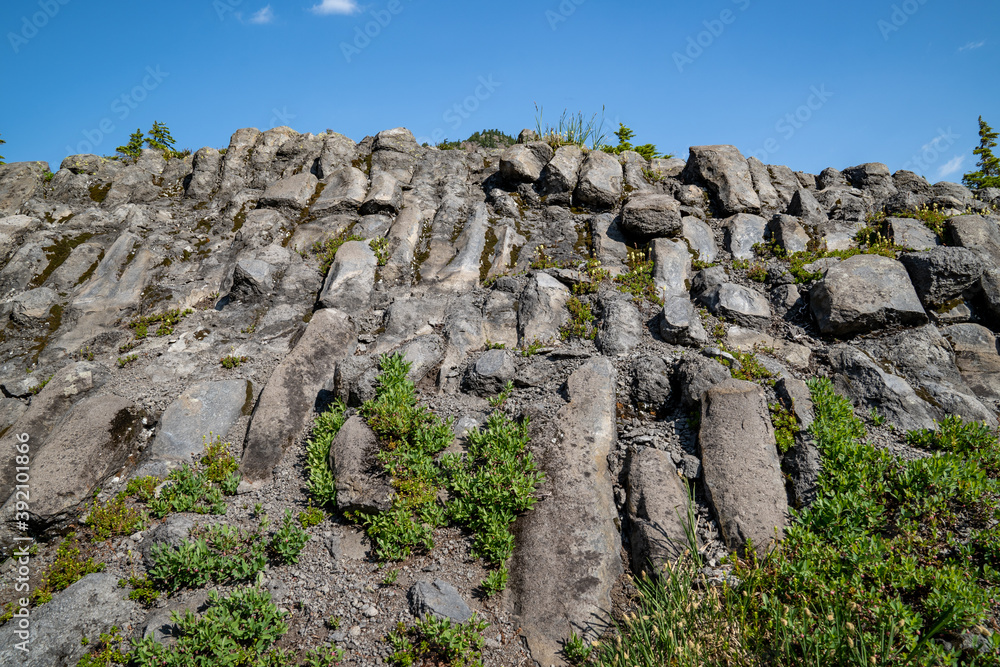 Basalt lava rock formations in the Heather Meadows area of Mt. Baker National Recreation Area of Washington State