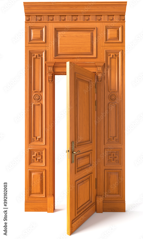 3D image classic door and panels in the interior of the room 3D image classic door and panels in the interior of the room