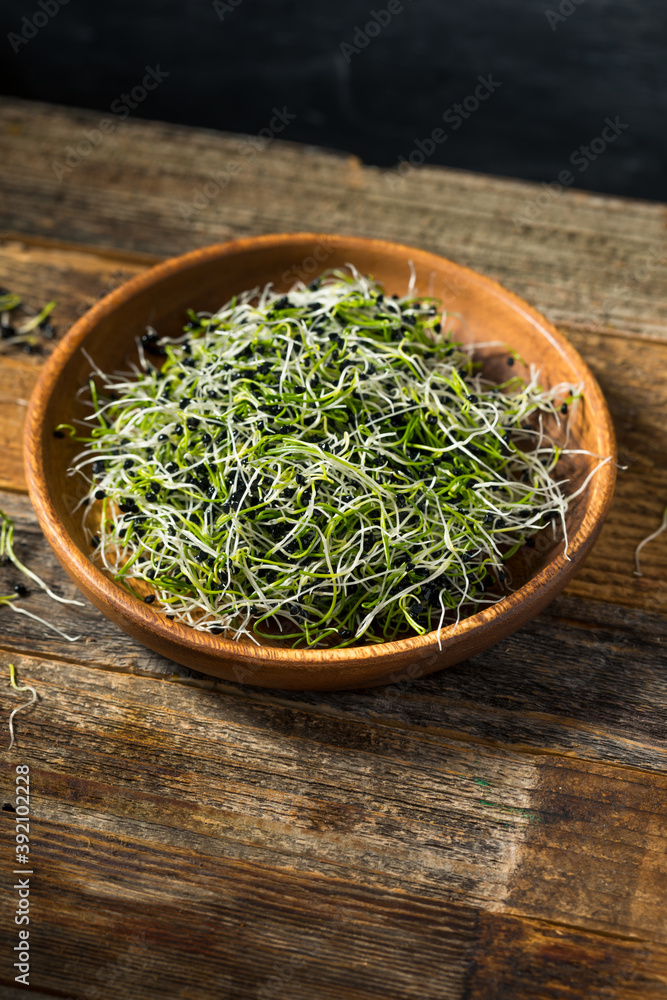 Raw Green Organic Onion Sprouts Raw Green Organic Onion Sprouts