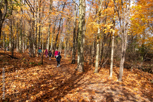 Excursion for children in the autumn forest