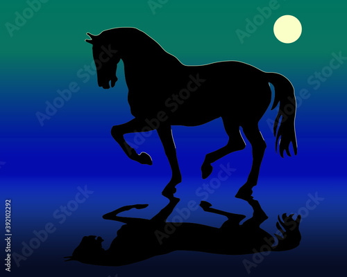 romantic drawn black silhouette of a prancing horse isolated on a colored background and reflection