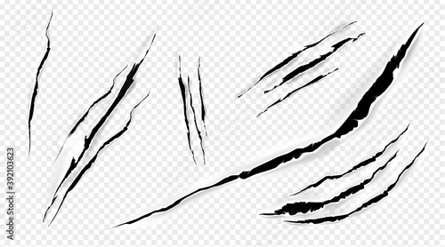 Cat marks, claws scratches isolated vector pets or wild animal nails rip, tiger or bear paws sherds on transparent background. Lion, monster or beast break, , realistic 3d traces on paper texture set